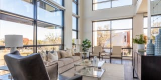 The Village Drey Gallery 25