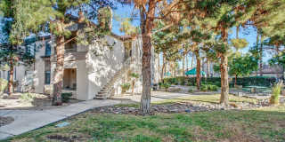Pacific Legends 2 Bed Condo Near Pool Gallery 1