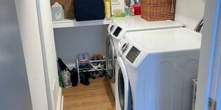 15 Bonwood St Gallery 13