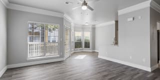 Solano at Chapel Hill Gallery 5