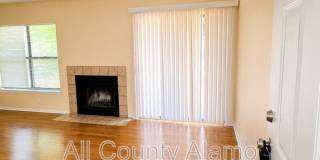11782 Spring Song Gallery 5
