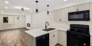 10001 Townhomes Gallery 5