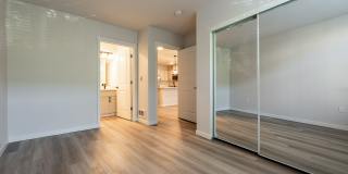 Queen Anne Collection Gallery 14