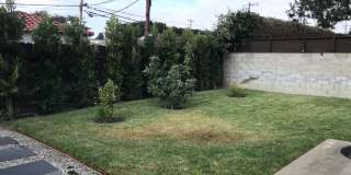 Gorgeous 3 Bedroom 2 Bath Updated Front House for Lease Near SoFi! (Building of ADU in the back) Gallery 17