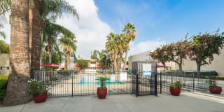 Las Palmas Apartments Gallery 5