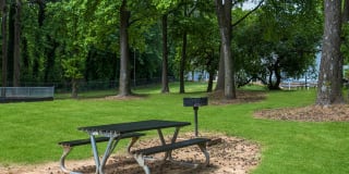 Tryon Village Gallery 10