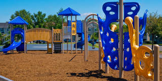 Arbor Grove Gallery 28