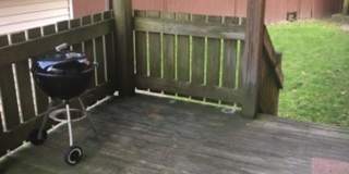 Great Sunny 3 Bed w/ Yard! Gallery 1