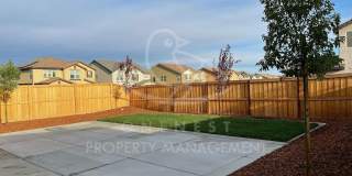 Twelve Bridges 4-Bedroom, 2-Bath Home Gallery 29