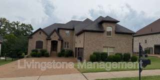 111 Pilot Knob Lane Gallery 1
