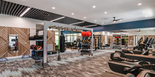 The Baldwin Gallery 8