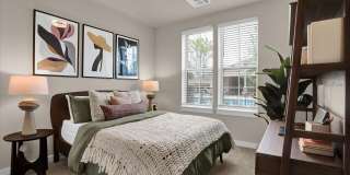 Springs at Ashby Gallery 15