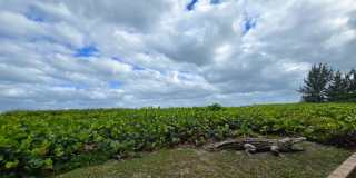 OCEANFRONT FURNISHED ANNUAL ONE BEDROOM ONE BATH Gallery 17