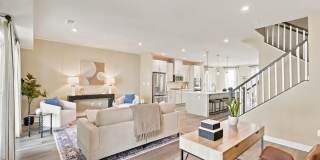 24274 THURSO Square Gallery 1