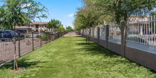 Altair Apartments Gallery 2