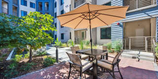 Downtown Ontario Luxury Apartments Gallery 102