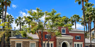 Ridgestone Gallery 24