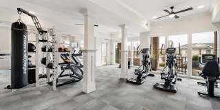 The Kingson Gallery 30