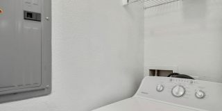 Driscoll Place Gallery 11