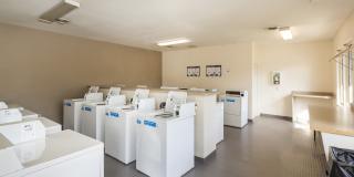 Western Terrace Gallery 9