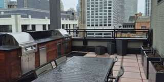 Incredible 1b1b in downtown Streeterville prime location Gallery 13