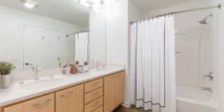 The Grand Gallery 27