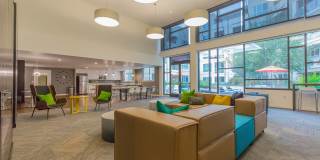 Linden Apartments Gallery 20