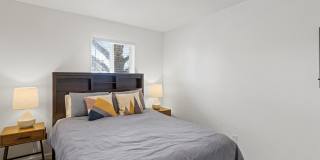 4899 Sonata Drive - 1 Gallery 28
