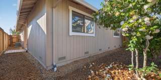 663 Spring Lane Gallery 23