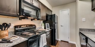 Mount Vernon Gallery 8