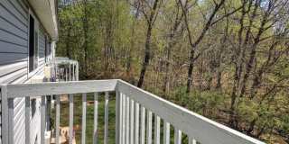 256 Peck Lane Gallery 10