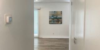 The Shelby Apartments Gallery 7