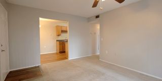 Wildewood South Gallery 11