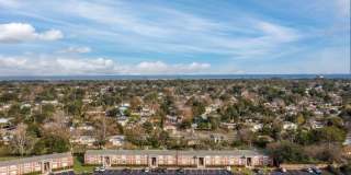 Sea Oats Sea Oats Gallery 9
