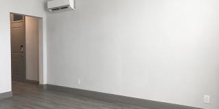 The Werner Gallery 20