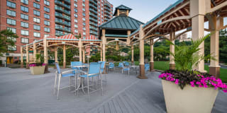 Windsor at Mariners Gallery 40