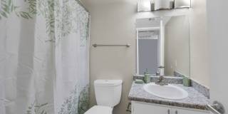 Tierra Ridge Gallery 21