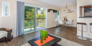 Carrington Gallery 44