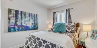 Avion at Sunrise Mountain Gallery 8