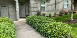 RENT SPECIAL: $500 Off First Full Month's Rent With One Year Lease!~ Madras 1951 Gallery 1