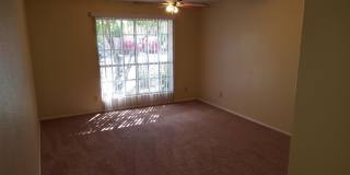 16610 S 32nd Place Gallery 20