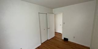 223 Currier Drive Gallery 13