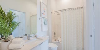 Altis Little Havana Gallery 7