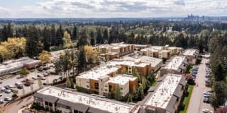 Madison Bellevue Gallery 43