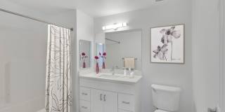 Trocadero Gallery 10