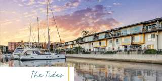 Marina Harbor Apartment Homes Gallery 2