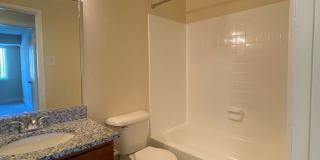 Northgate Gallery 229
