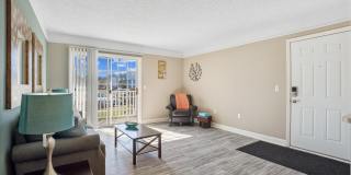 Cape Landing Gallery 24