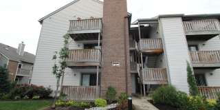 5310 RAVENS CREST Drive Gallery 1