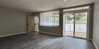 Beautiful 3 Bedroom 2 Bath Condo in Point Loma w/Three Private Patios Gallery 6